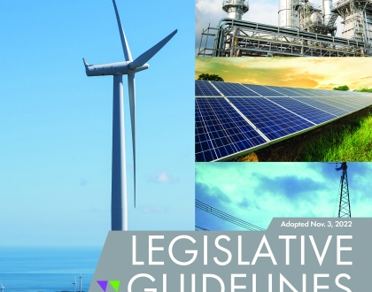 Legislative Guidelines cover