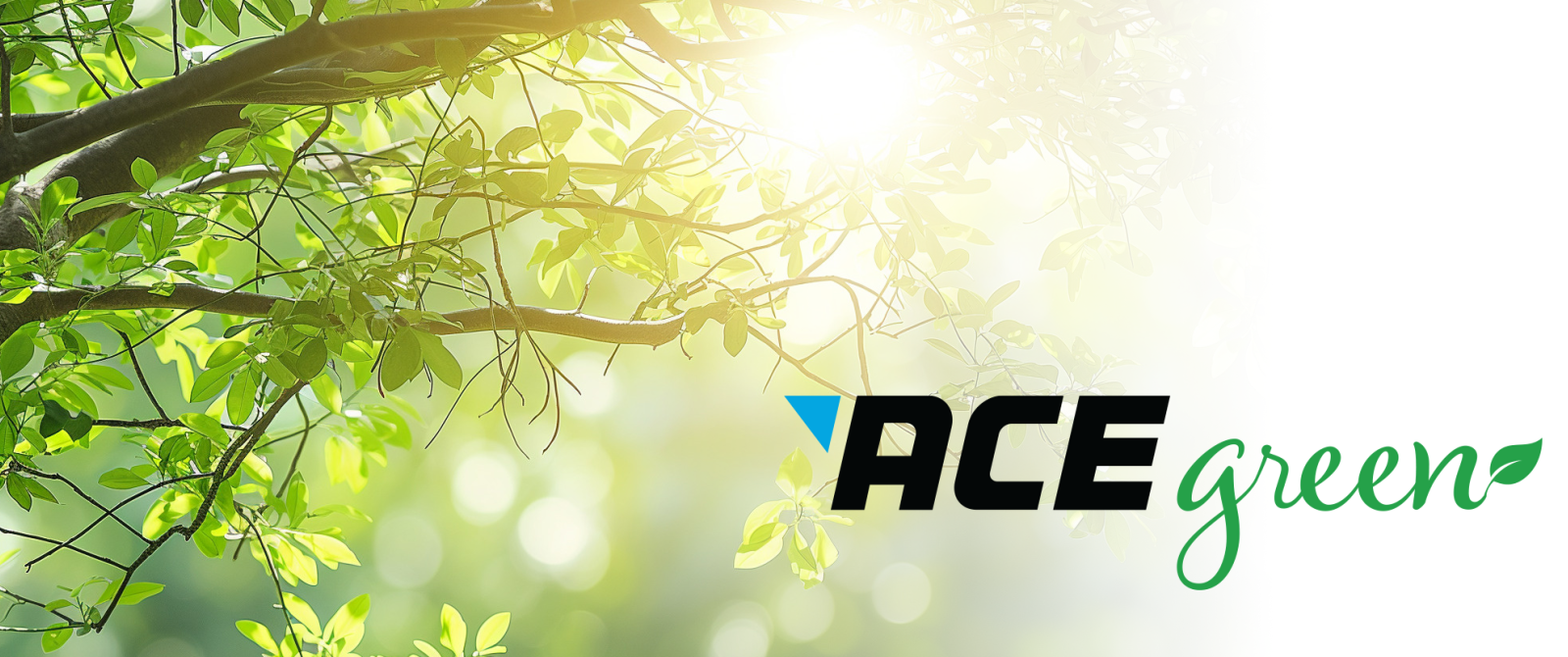 ACE green slider graphic